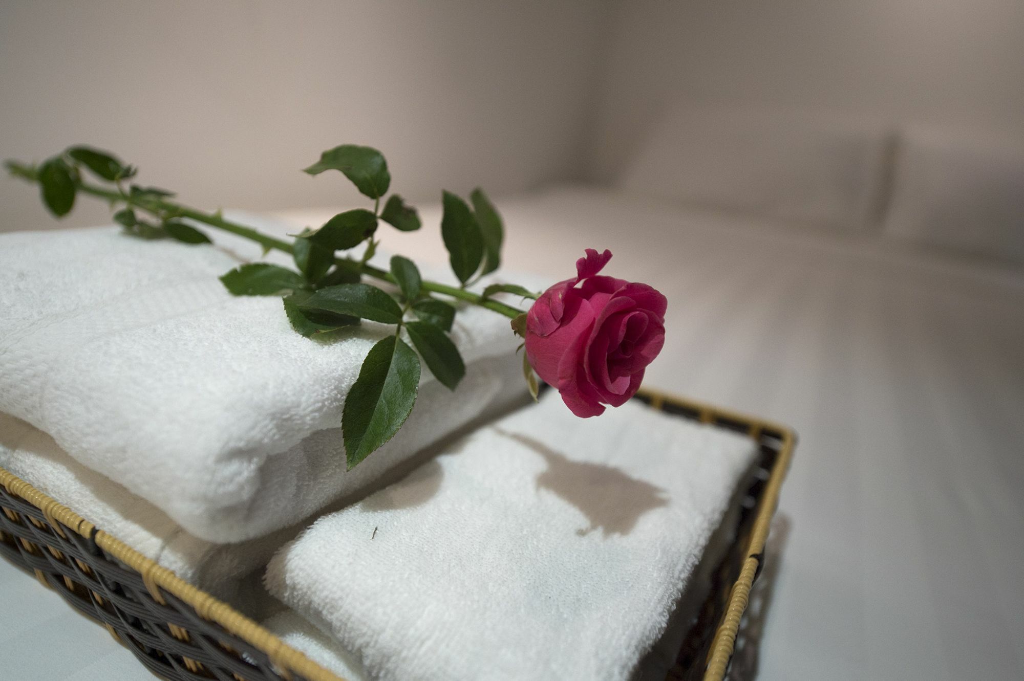 Harmony Homestay - Hanoi Homestay In Old Quarter Экстерьер фото