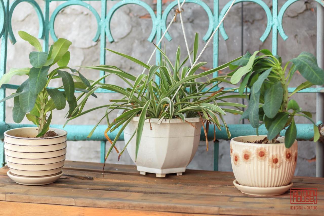 Harmony Homestay - Hanoi Homestay In Old Quarter Экстерьер фото